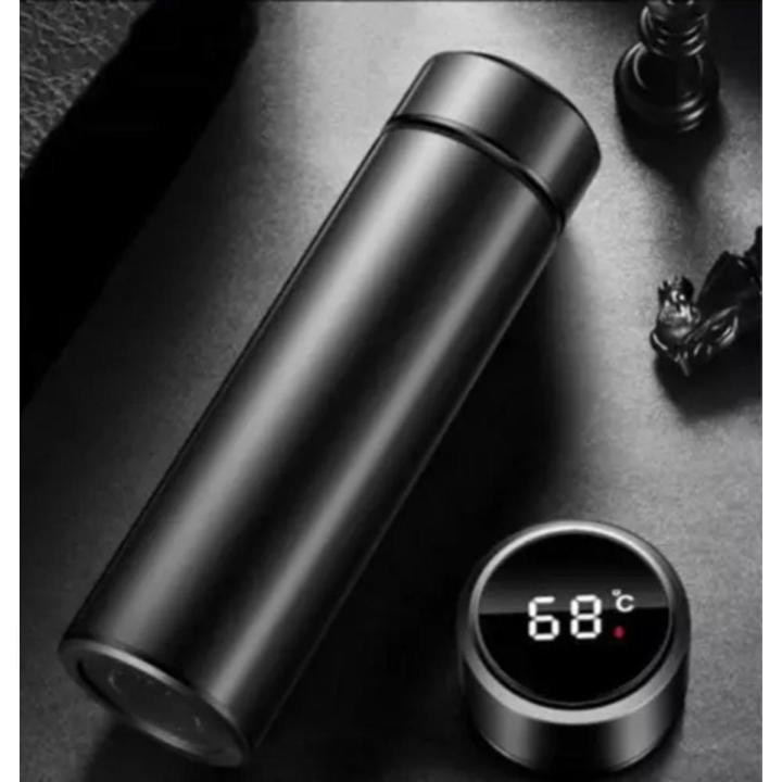Temperature Water Bottle